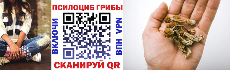 Галлюциногенные грибы Cubensis  ОМГ ОМГ маркетплейс  Ростов-на-Дону 